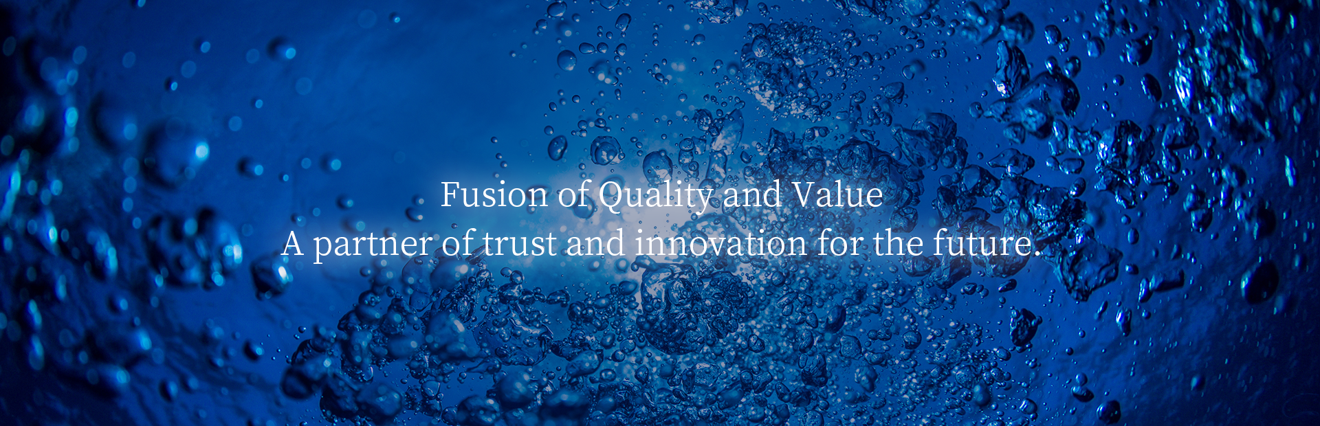 Fusion of Quality and Value.A partner of trust and innovation for the future